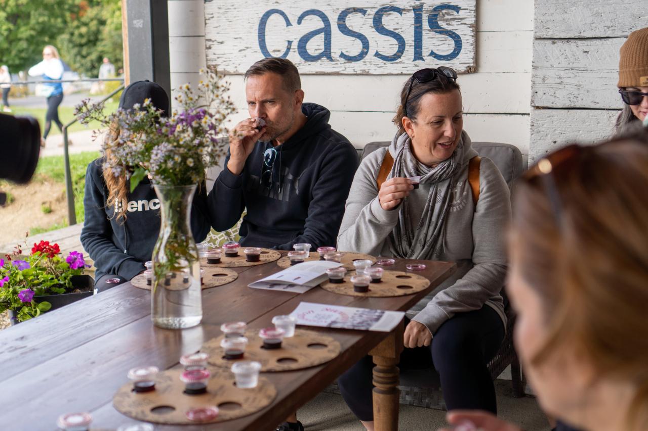 Quebec City ; Visite guidée de l'Île d'Orléans en vélo électrique