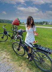 Quebec City: Ebike Rental on Ile d'Orleans / Location vélo électrique à l'île d'Orleans