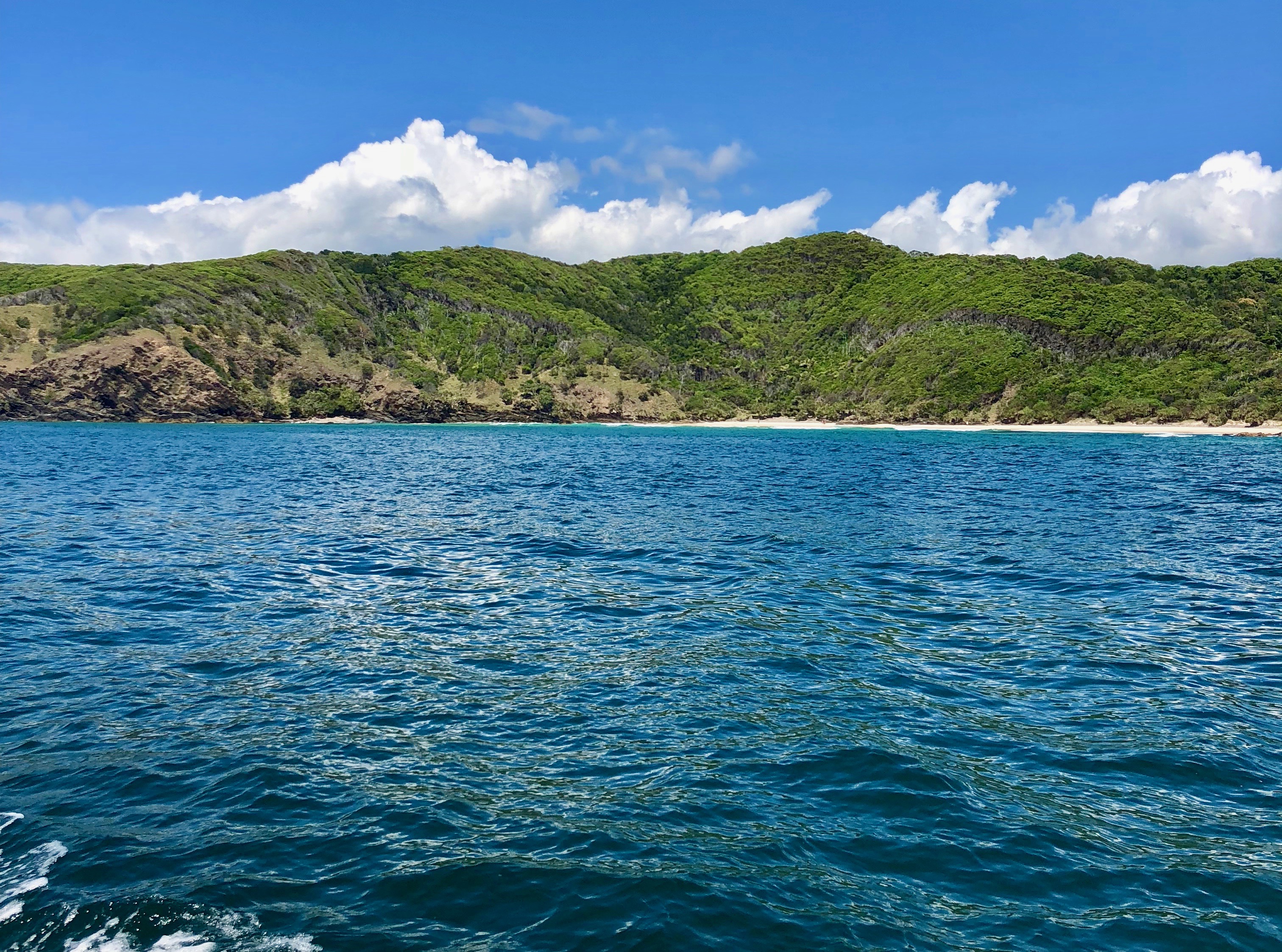 Julian Rocks Coastal Discovery Cruise