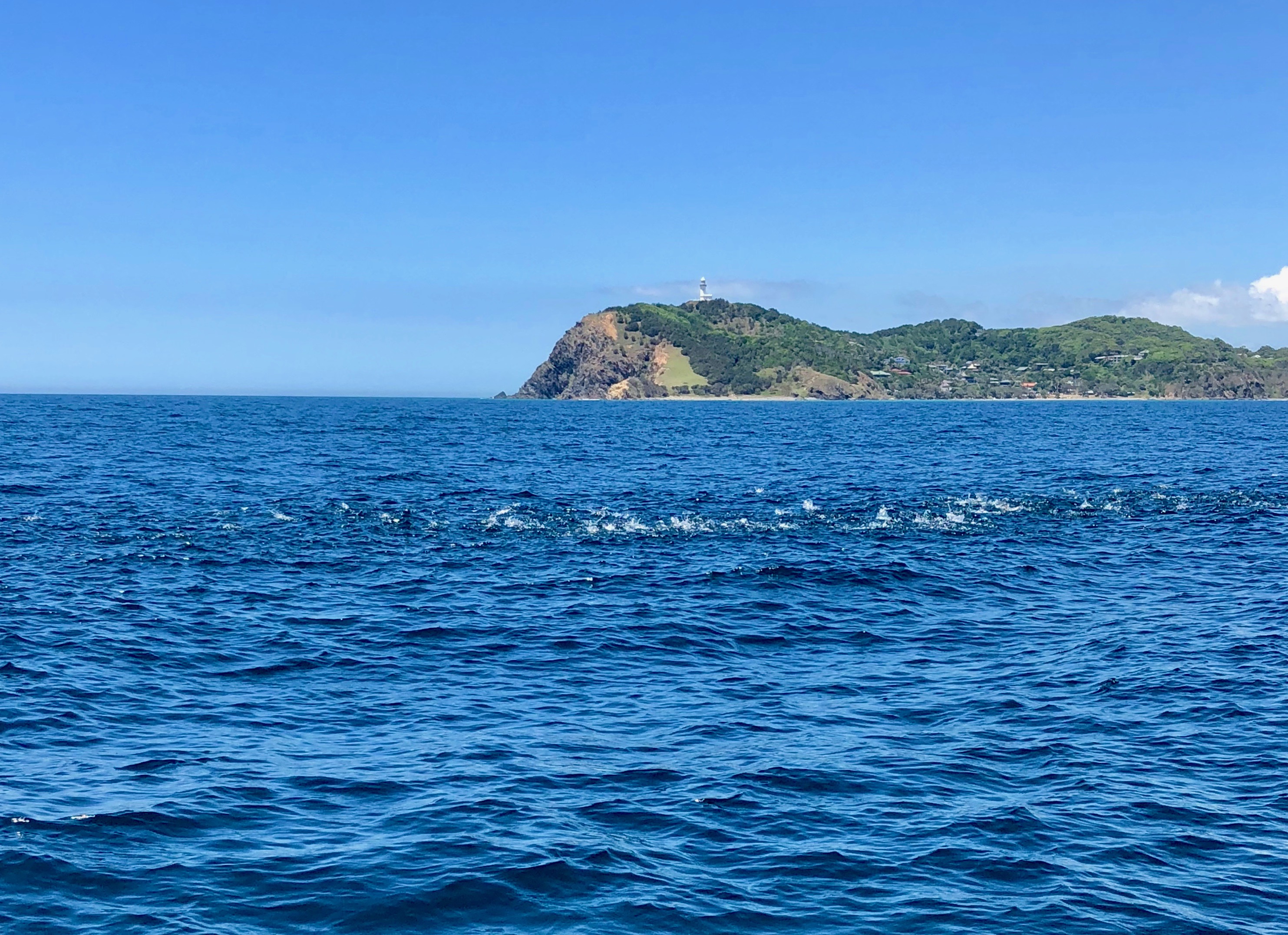 Julian Rocks Coastal Discovery Cruise