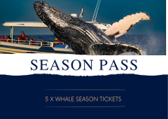 Whale Watching Season Pass