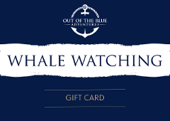 Whale Watching Gift Card