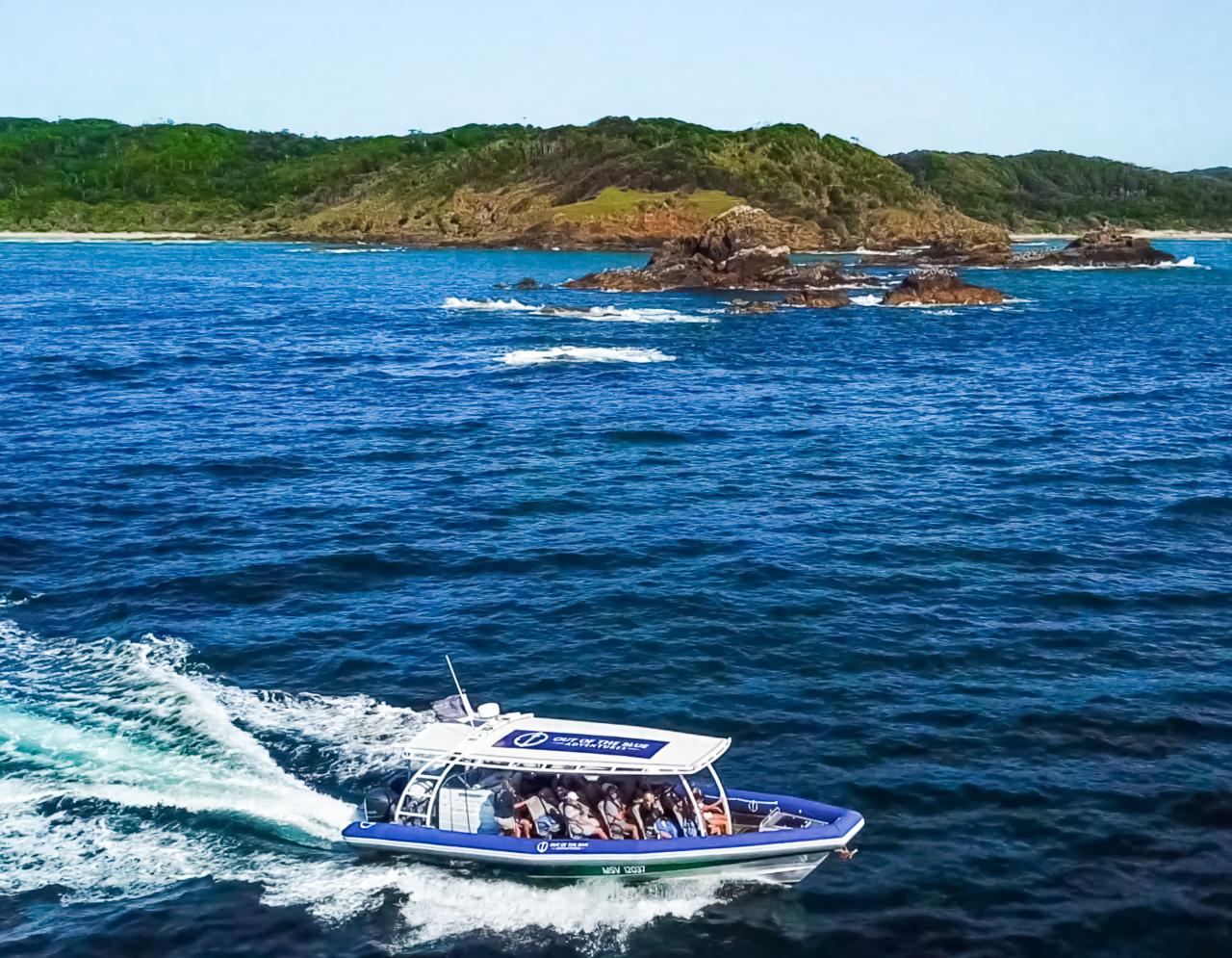Julian Rocks Coastal Discovery Cruise - Out Of The Blue Adventures ...