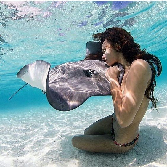 Chat 'N' Chill® Feed 'N' Swim with the Stingrays Experience