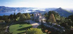Scenic Harbour Ferry to Larnach Castle and City Exploring