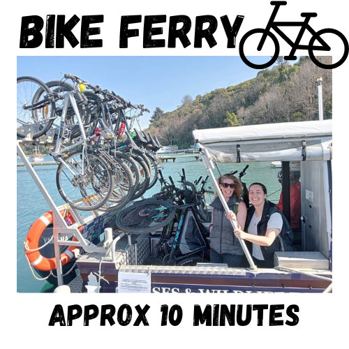 BIKE FERRY- Port Chalmers to Portobello 