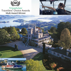 Ferry to Larnach Castle, Iconic Gardens and City Exploring