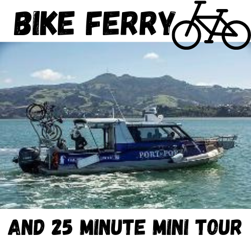 MINI TOUR and Bike Ferry- TO PORT CHALMERS from Portobello