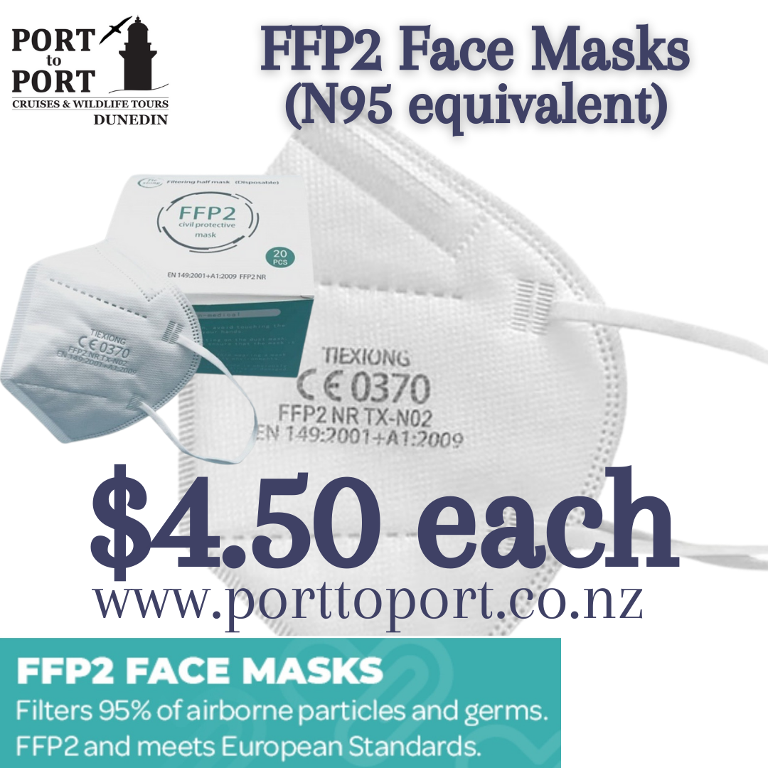 FFP2 Face Mask-Government recommended