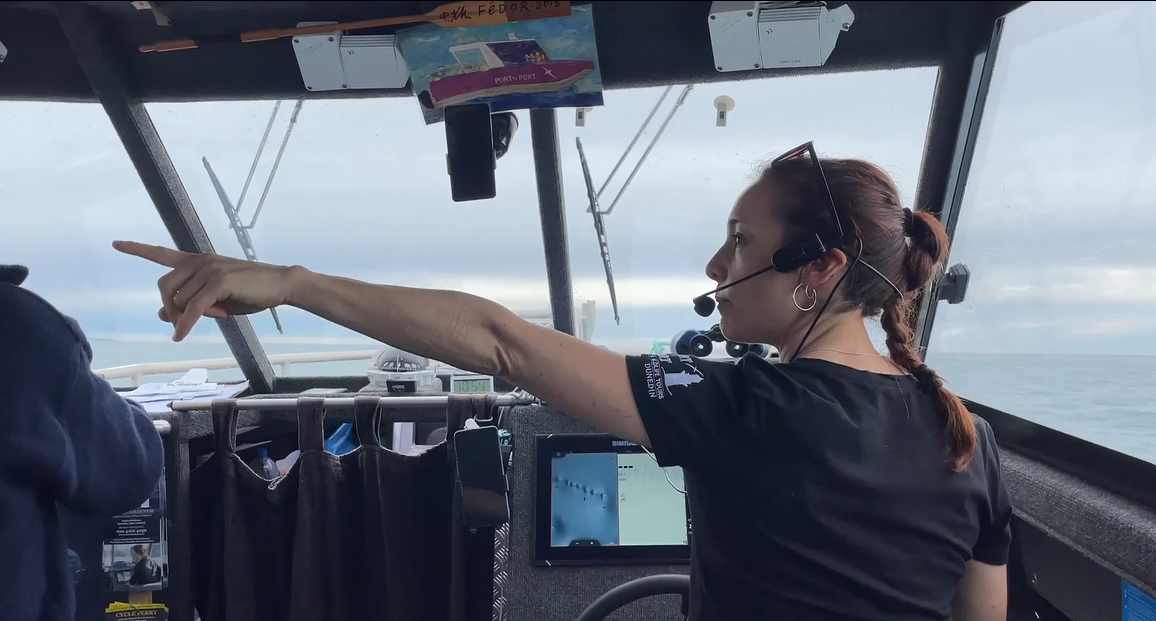 Mini Harbour Tour