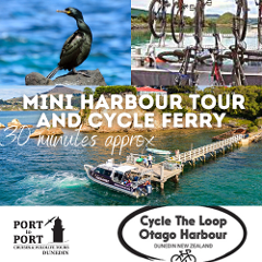 Mini Harbour Tour and Cycle transfer-FROM PORT CHALMERS