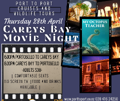 Careys Bay Movie Night