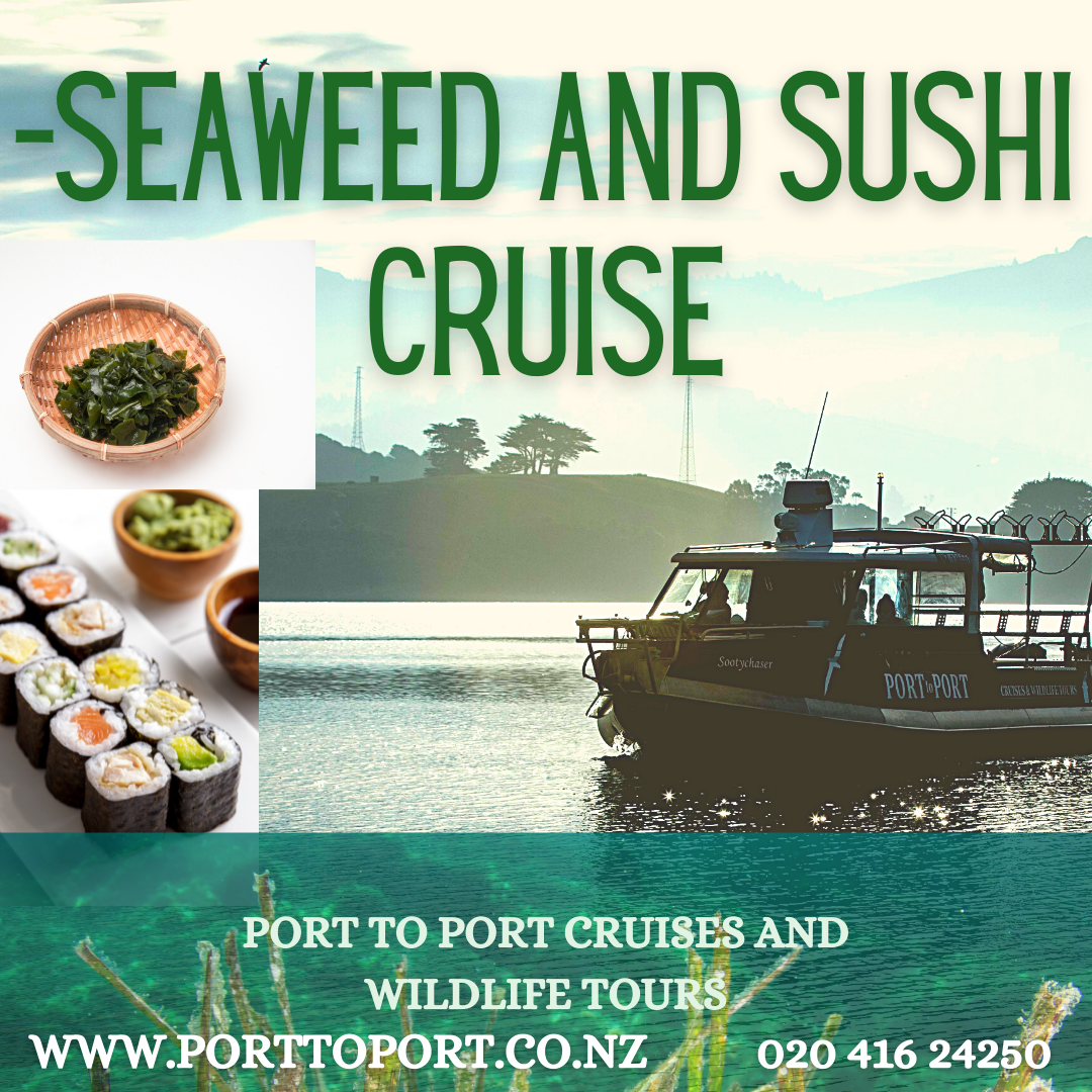 Seaweed and Sushi Cruise
