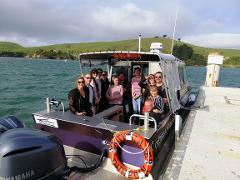 (Small Group) Evening Harbour Cruise, Dunedin to Carey's Bay