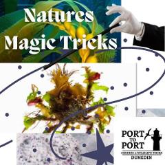 Natures Magic Tricks Cruise