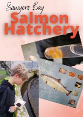 Salmon Hatchery Visit