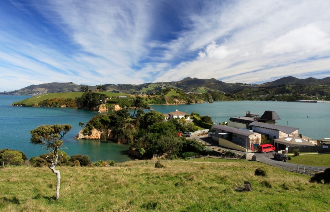 Ferry and admission to Wild Food Webs & Fishy Feasts- NZ Marine Studies Centre, FROM PORT CHALMERS 