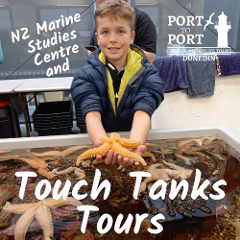 Touch Tanks Tours at Marine Studies Centre and Cruise