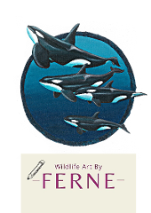 ORCA-Wildlife Art Merchandise by FERNE