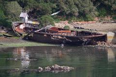 Shipwrecks and Maritime Disasters Cruise 