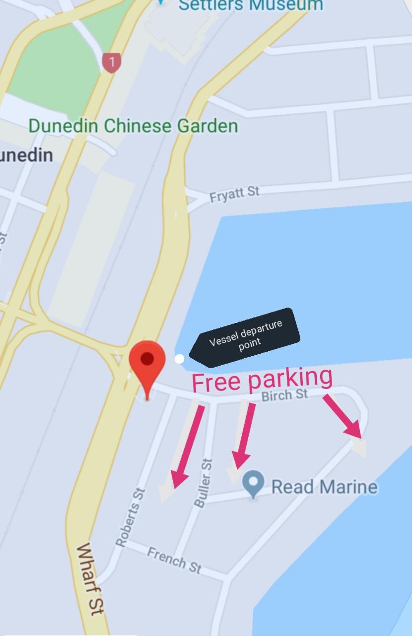 Forsyth Barr StadiumFerry from STEAMER BASIN Port to Port Cruises