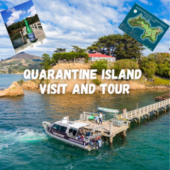 Quarantine Island TOUR and Ferry from Port Chalmers