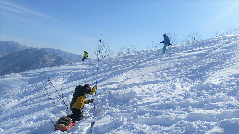 5 DAYS FREERIDE EXPERIENCE (for skier)