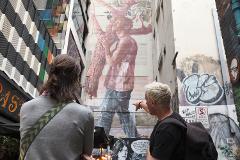 Melbourne Laneways and Culture tour