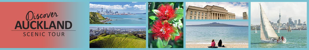 Discover Auckland Scenic Tour - Afternoon Tour