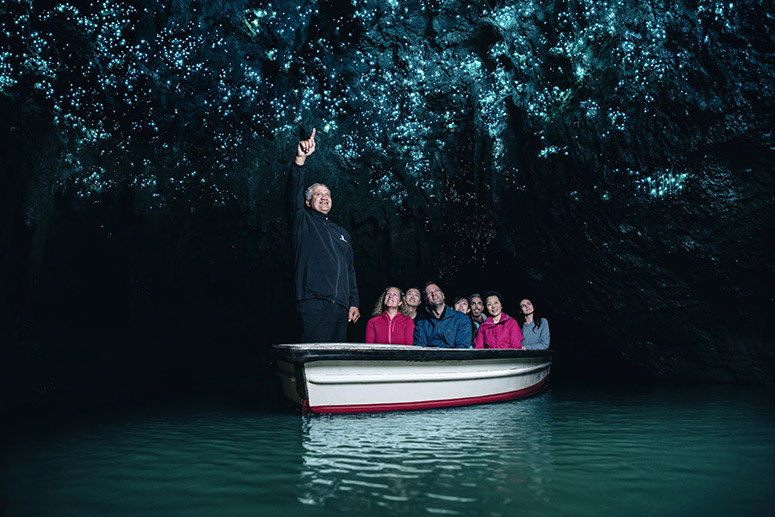 Waitomo Glowworm Caves Small Group Tour from Auckland 