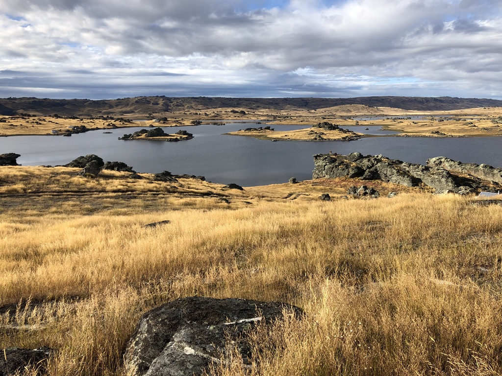 Queenstown to Middlemarch small-group tour (One-Way) 