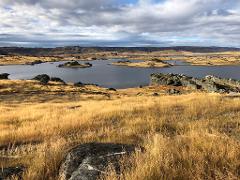 Queenstown to Middlemarch small-group tour (One-Way) 