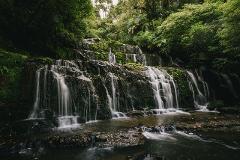 Dunedin to Invercargill via the Catlins (one-way tour)