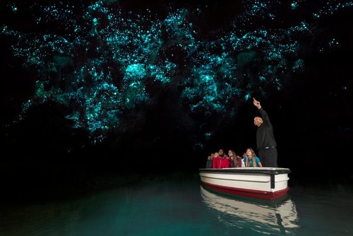Hobbiton, Waitomo Caves, Rotorua & Taupo 2 day tour in small groups. (return or one way )