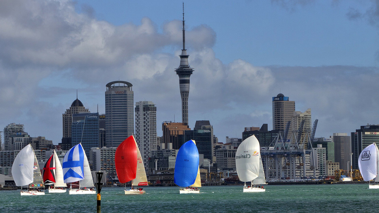 Auckland City Highlights Small Group Tour 