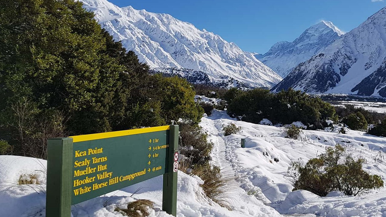 mount cook group tours