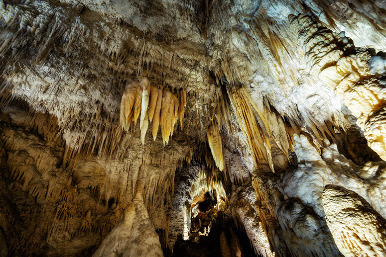 https://img.rezdy.com/PRODUCT_IMAGE/90077/709a8494a315492697b249acb9733397waitomo_stalagmites_stalactites.jpg