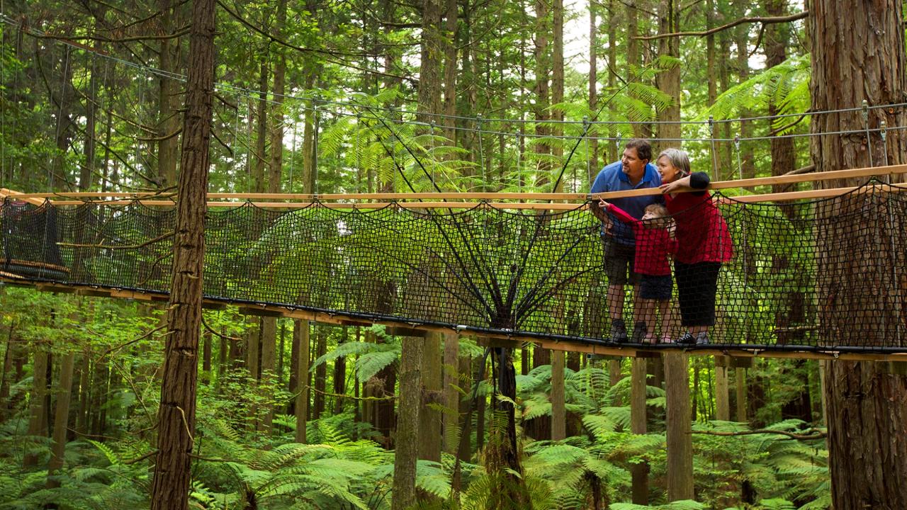 Rotorua Highlights Tour including Redwoods Tree Walk & Polynesian Spa