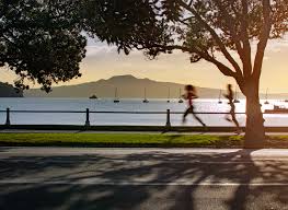 Auckland City Highlights Small Group Tour