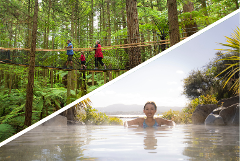 Rotorua Highlights including Redwoods Treewalk & Polynesian Spa Small Group Tour from Auckland