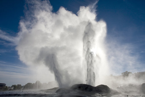 Rotorua Tour including Te Puia from Auckland  (small groups)  CA