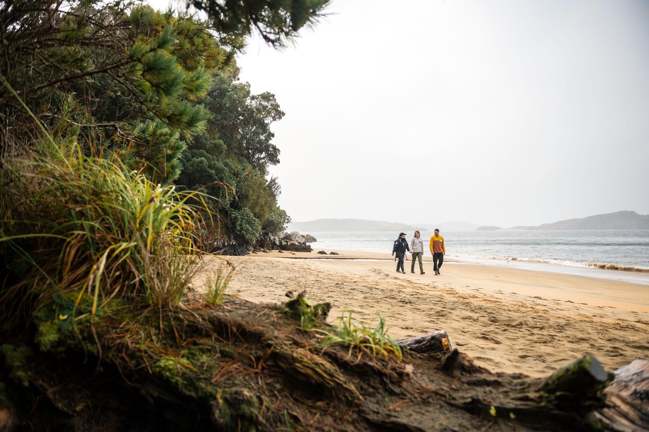https://img.rezdy.com/PRODUCT_IMAGE/90077/RealNZ_Rakiura_Stewart_Island_Beach_Walk_medium.jpg