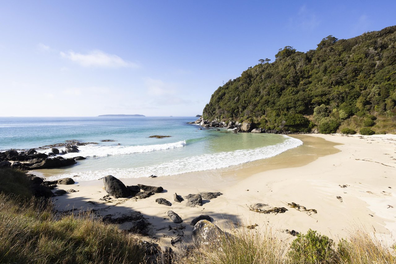 https://img.rezdy.com/PRODUCT_IMAGE/90077/RealNZ_Rakiura_Stewart_Island_Sunny_Beach_medium.jpg