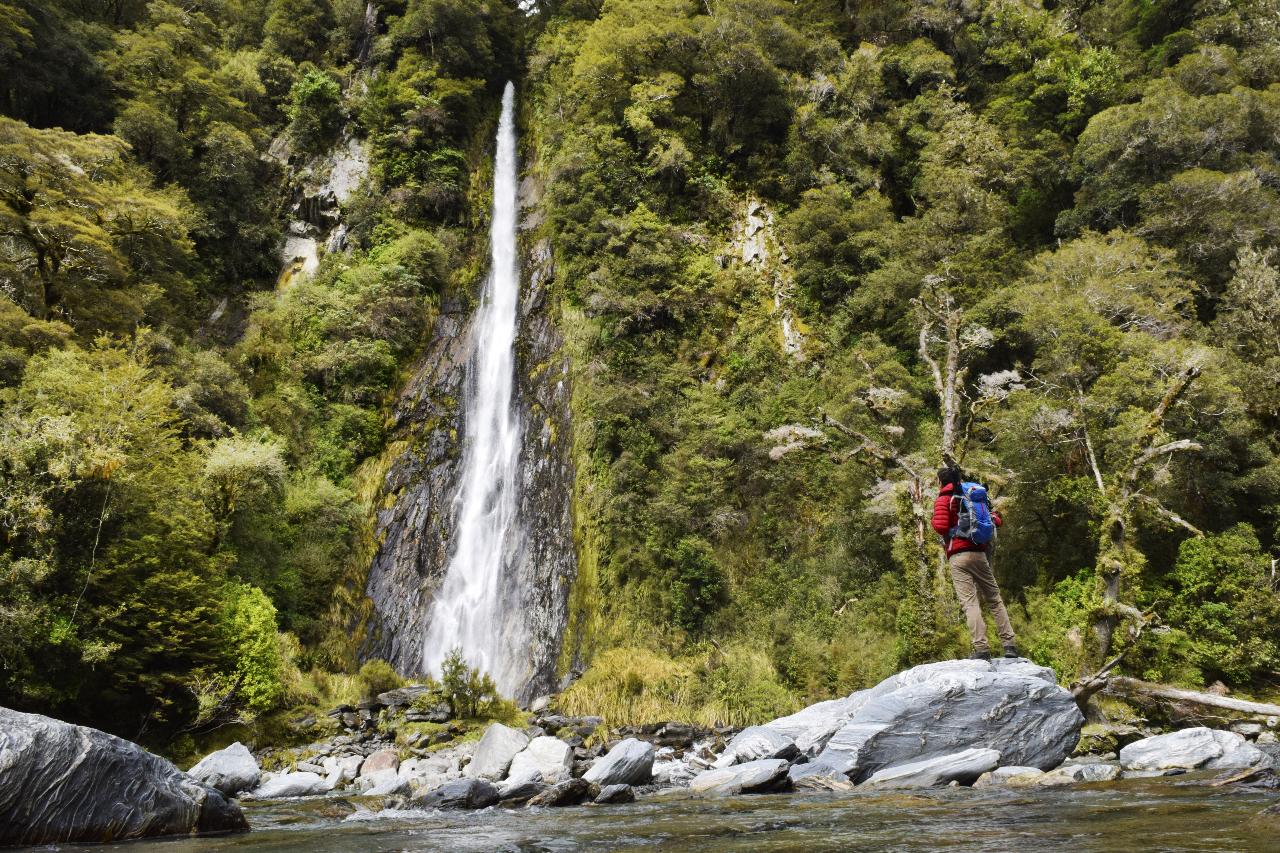 https://img.rezdy.com/PRODUCT_IMAGE/90077/Thunder_Creek_Falls__Haast__credit_West_Coast_New_Zealand_.jpg