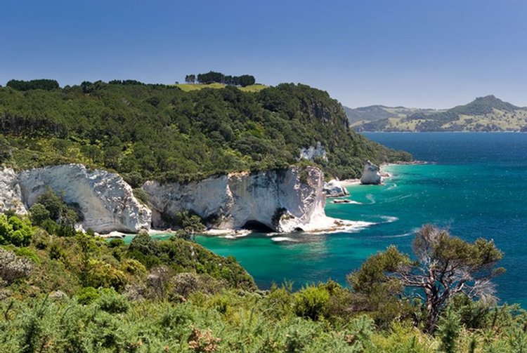 https://img.rezdy.com/PRODUCT_IMAGE/90077/Tourism_Coromandel_138.jpg