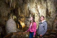 Waitomo Caves & Rotorua Tour including Te Puia from Auckland (small groups) CA