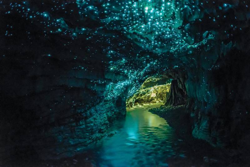 https://img.rezdy.com/PRODUCT_IMAGE/90077/Waitomo_Caves.jpg