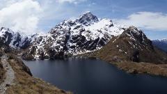 Routeburn Track Package from Queenstown, Return by Bus - Start at the Routeburn Shelter