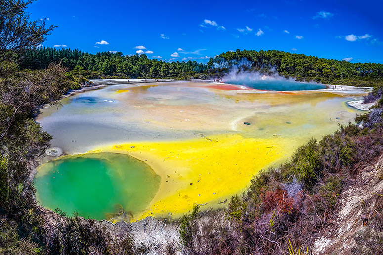 Rotorua Small Group Tour + Redwoods Tree Walk & Polynesian Spa