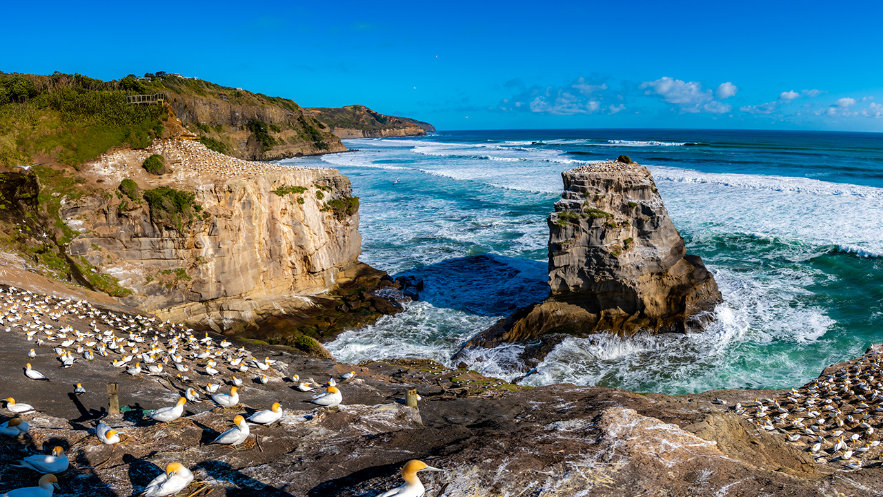 Auckland's Wild West Coast & Black Sand Beaches Tour including Craft Beer Brewery Lunch and Tasting (CURRENTLY UNAVAILABLE)